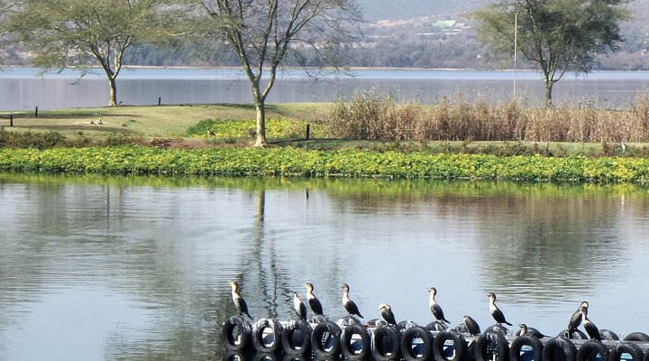 Waterfront Apartment - Key West Estate