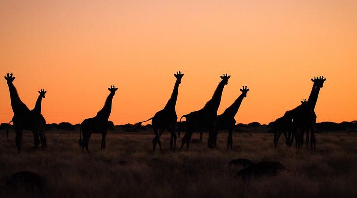 Sunset Private Reserve