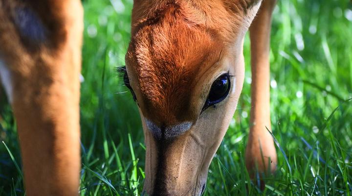 Sunset Private Reserve