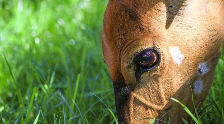 Sunset Private Reserve