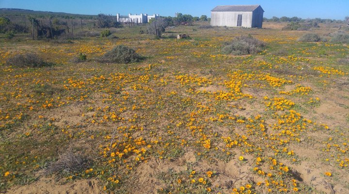 Remote Locations West Coast 