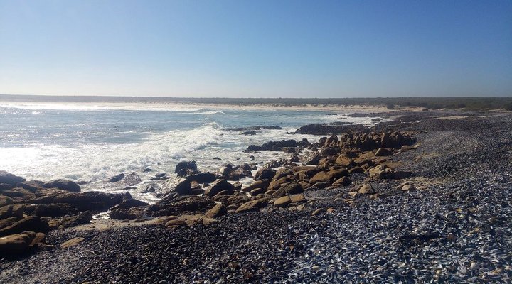Remote Locations West Coast 