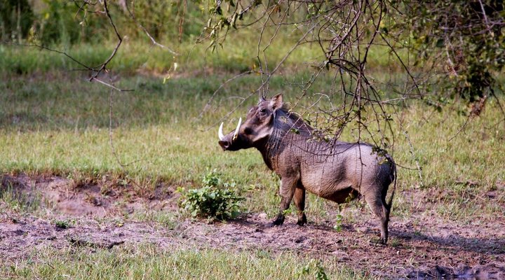 Shakati Private Game Reserve