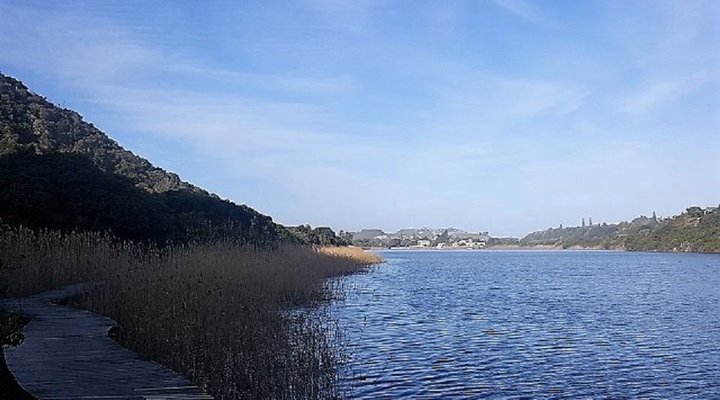 Freesia Avenue Holiday House