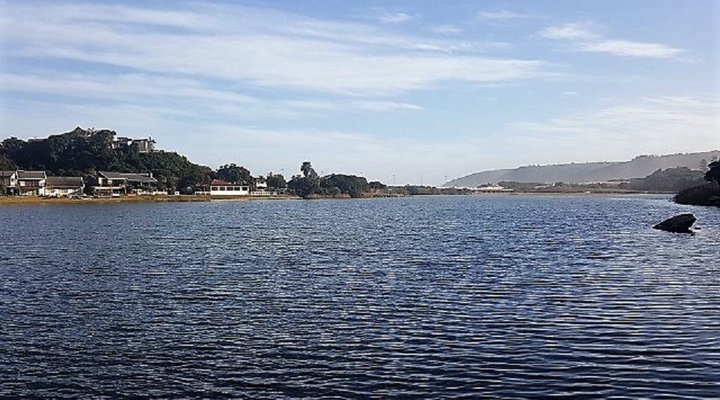 Freesia Avenue Holiday House