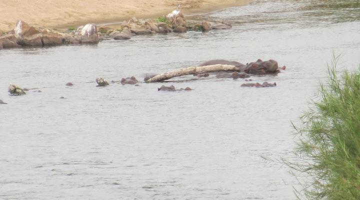 Leisure Kruger Lodge