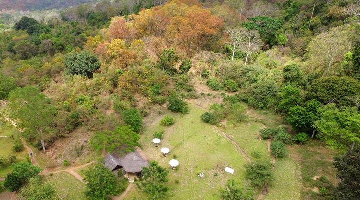  Udzungwa Forest Camp (Hondo Hondo) 