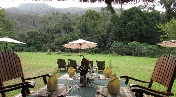  Udzungwa Forest Camp (Hondo Hondo) 