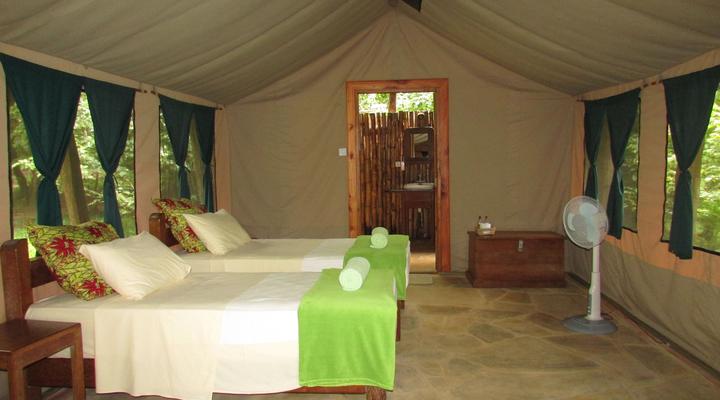  Udzungwa Forest Camp (Hondo Hondo) 