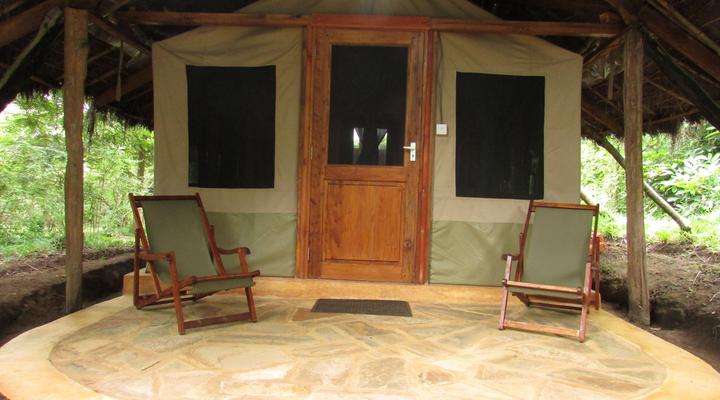  Udzungwa Forest Camp (Hondo Hondo) 