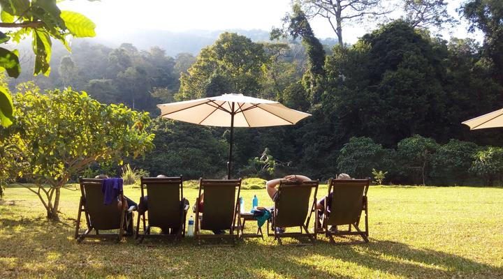  Udzungwa Forest Camp (Hondo Hondo) 