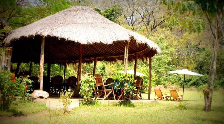  Udzungwa Forest Camp (Hondo Hondo) 