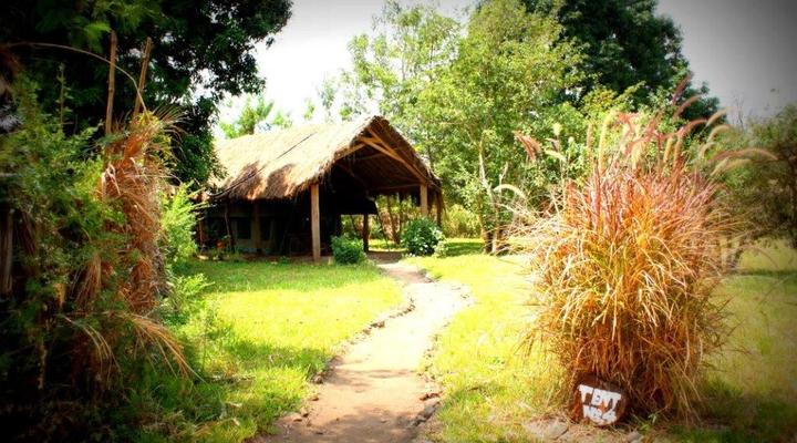  Udzungwa Forest Camp (Hondo Hondo) 