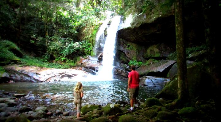  Udzungwa Forest Camp (Hondo Hondo) 