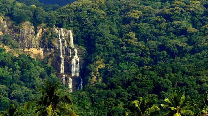 Udzungwa Forest Camp (Hondo Hondo) 