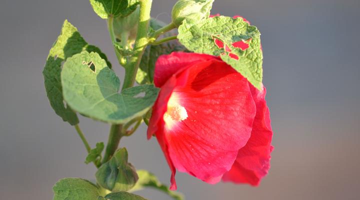 Schnehage Self Catering