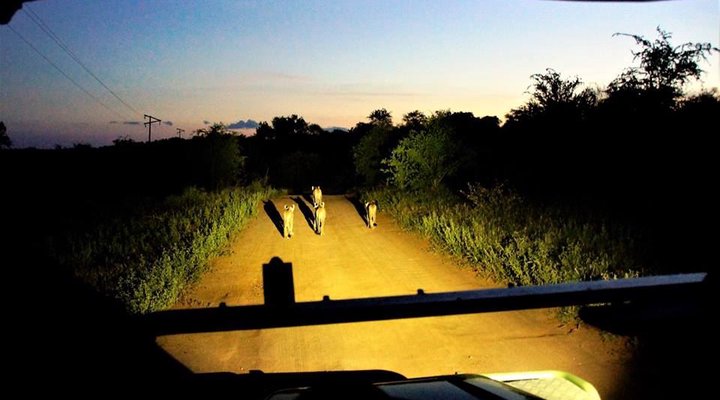 4 Nights 2 pax Safari Package