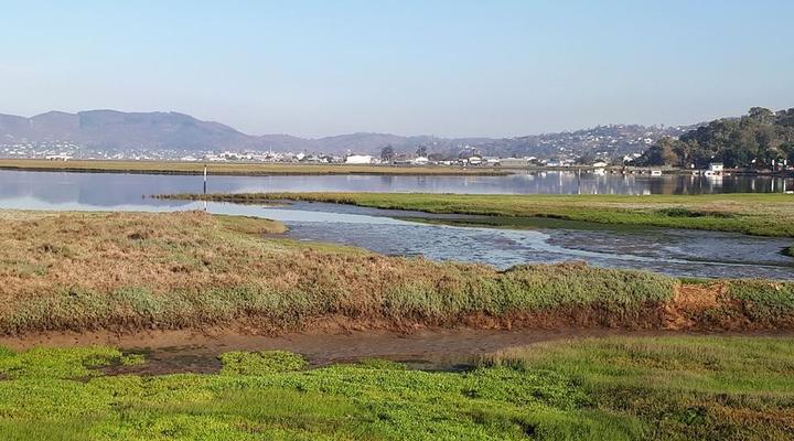 KNYS 'n NAutical on Herons Way