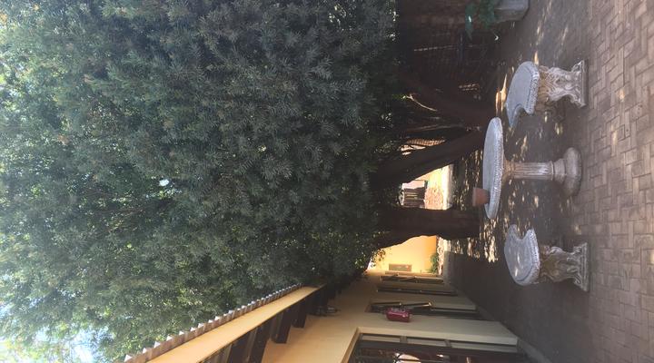 Woodpecker Guesthouse