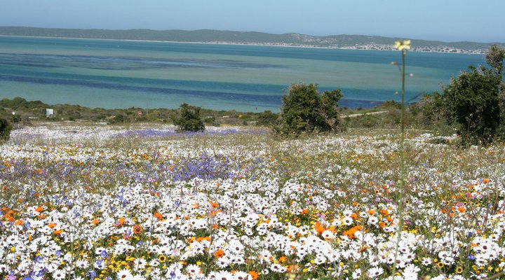 High Palms Guesthouse