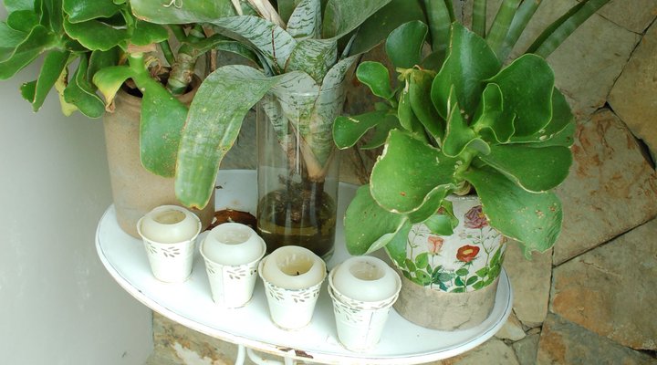 Afribode Water's Edge