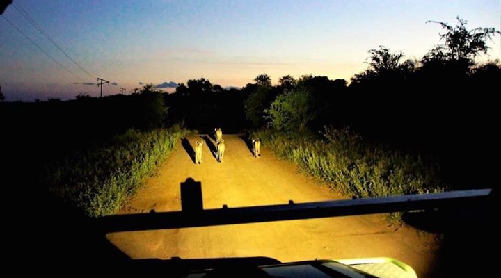 5 Night 2 pax Safari Package