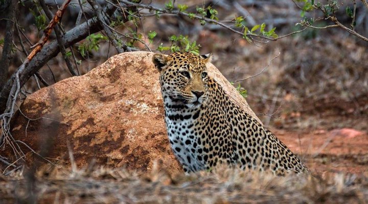 5 Night 2 pax Safari Package