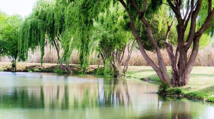 Nkanga Lodge Executive Guest Lodge & Conference Venue