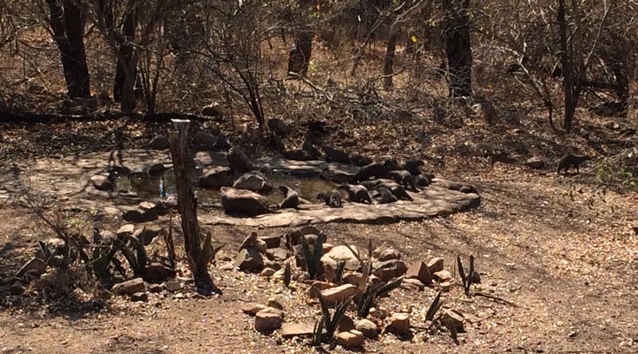 Okwamanje Self-catering Unit