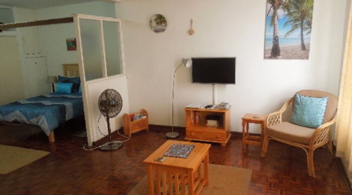 Sunny Studio Durban Beachfront