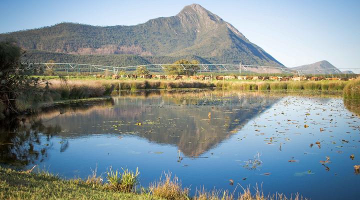 Elandsrivier Guest House