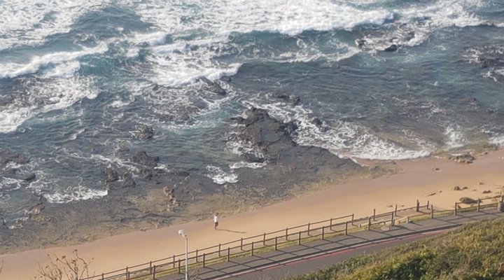 Bluff Tradewinds