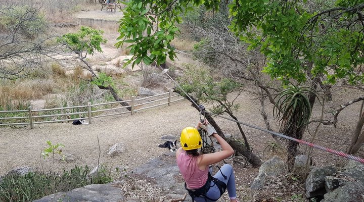 Eco-Eden Bush Lodge, Conference and Events Venue