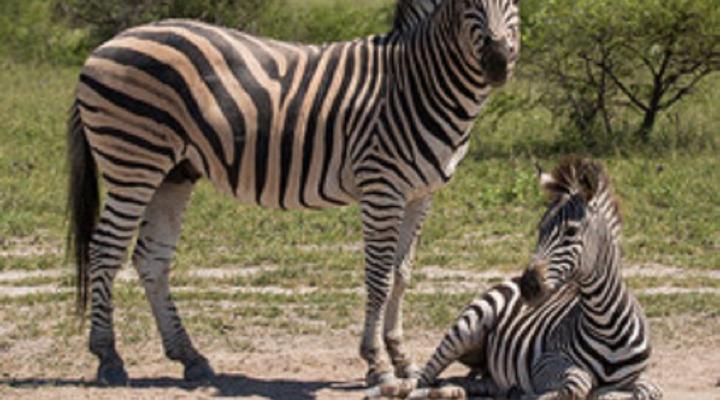 Special Interest Tours - Desert Golf Tour