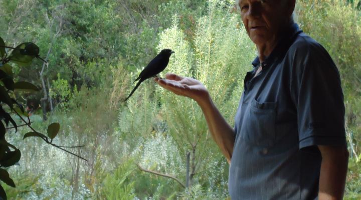 Eagles' Call Cottages & Tent