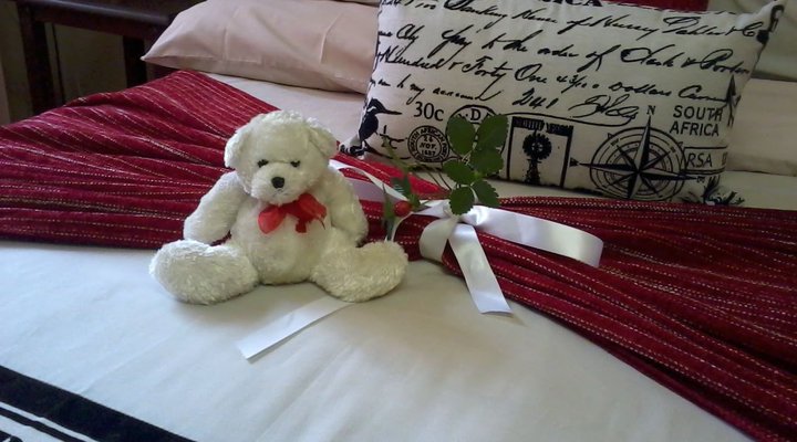 Wild Catz Cottage Piet Retief