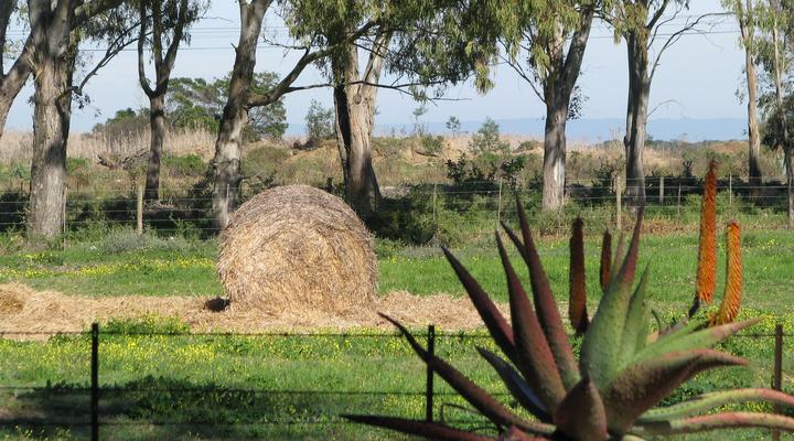 Nacht Wacht Self-catering Cottages