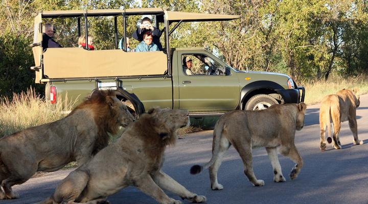 2 Night Kruger Adventurer Getaway Package