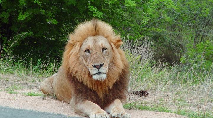 2 Night Kruger Adventurer Getaway Package