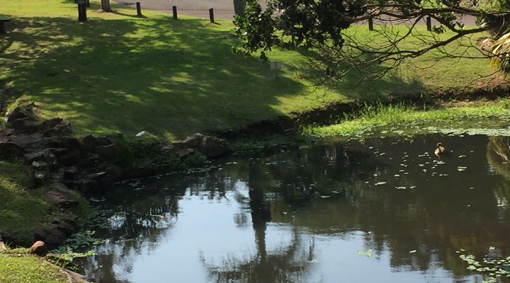 9 Aruba Ocean Drive Ballito