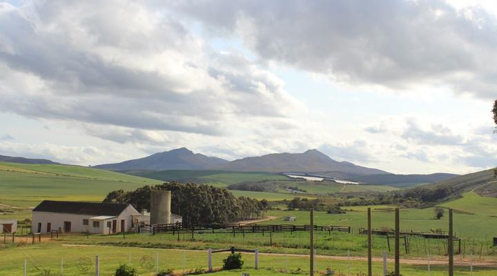 Agri Dwala Guest Farm