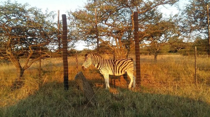 Albert Falls Country Estate