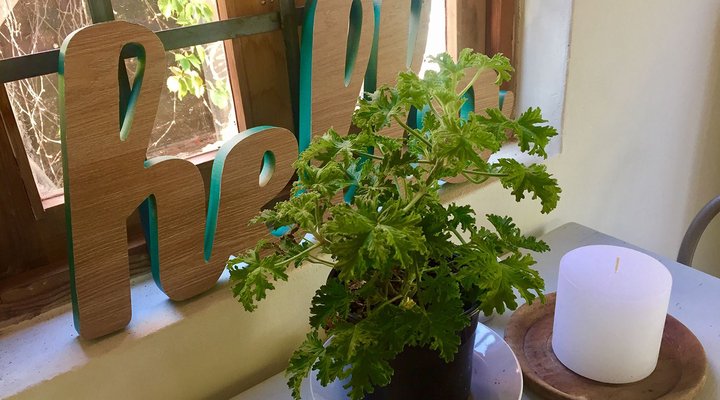 Monk's Cottage – Sounds of Silence