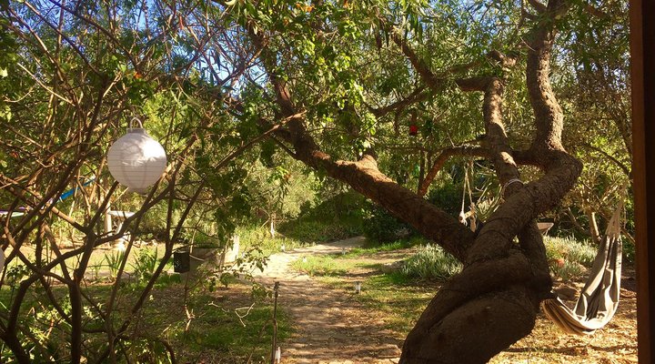 Monk's Cottage – Sounds of Silence