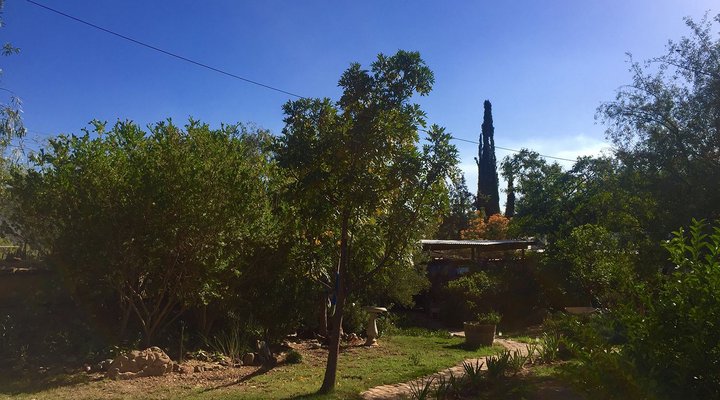 Monk's Cottage – Sounds of Silence