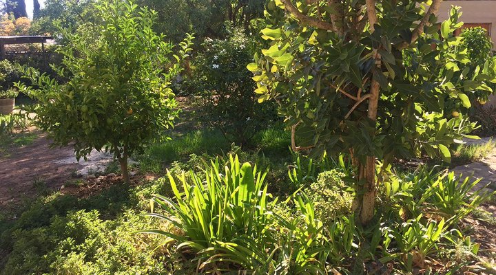 Monk's Cottage – Sounds of Silence