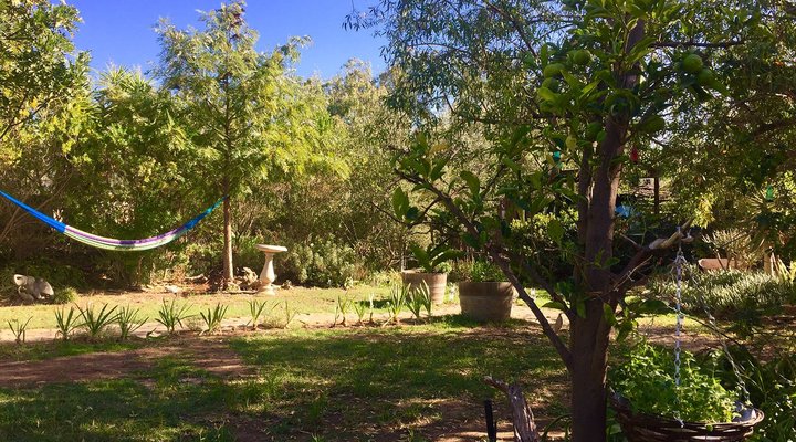 Monk's Cottage – Sounds of Silence