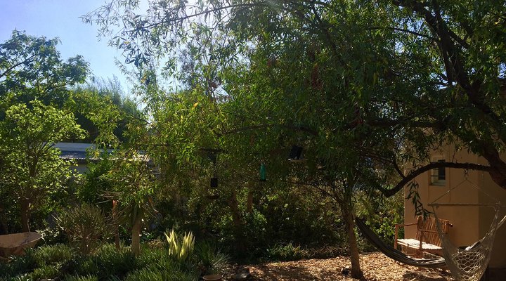 Monk's Cottage – Sounds of Silence