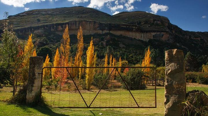 Clarens Paddocks Six