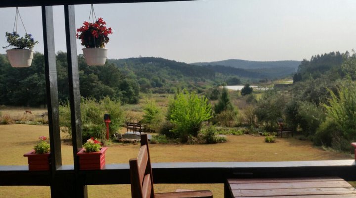 Woodcutters Guest House & Cottage